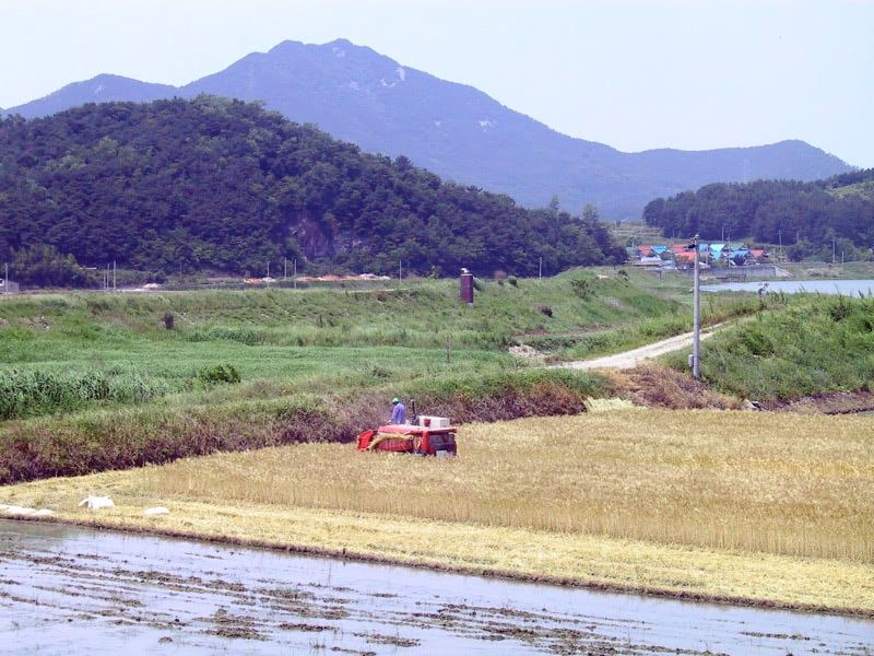 The farms outside Gwangju city